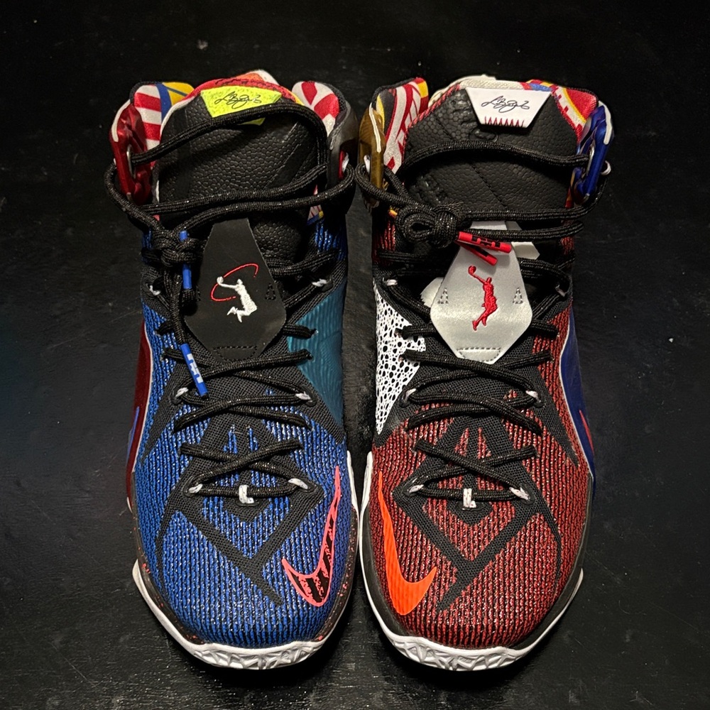 Nike LeBron 12 SE "What The" sneakers